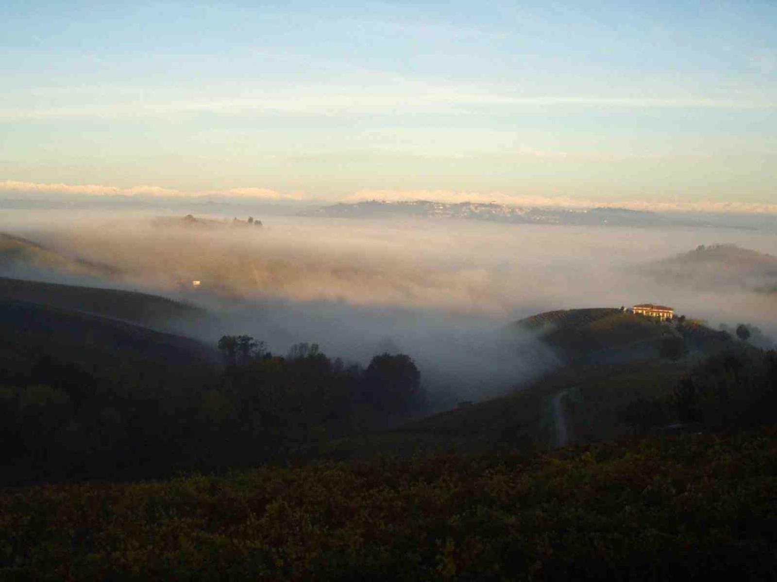 Cascina Delle Rose Villa Barbaresco Eksteriør billede