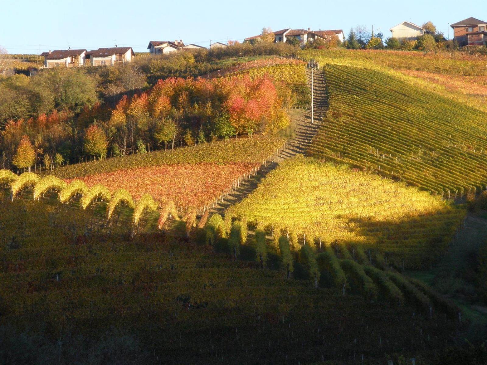 Cascina Delle Rose Villa Barbaresco Eksteriør billede