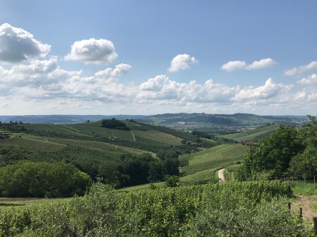 Cascina Delle Rose Villa Barbaresco Eksteriør billede