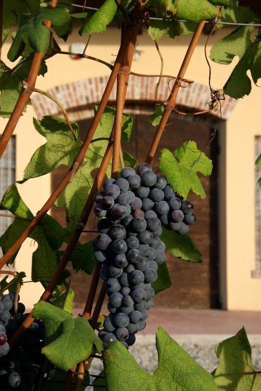 Cascina Delle Rose Villa Barbaresco Eksteriør billede